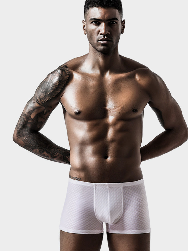 2 Pack Breathable Grid Ice Silk Men's Underwear | dmunderwear detail image 3