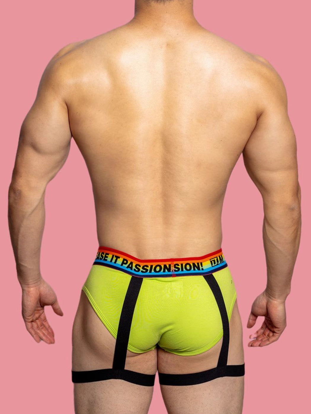 2 Pack Men's Rainbow Solid Color Suspender Briefs | dmunderwear detail image 13