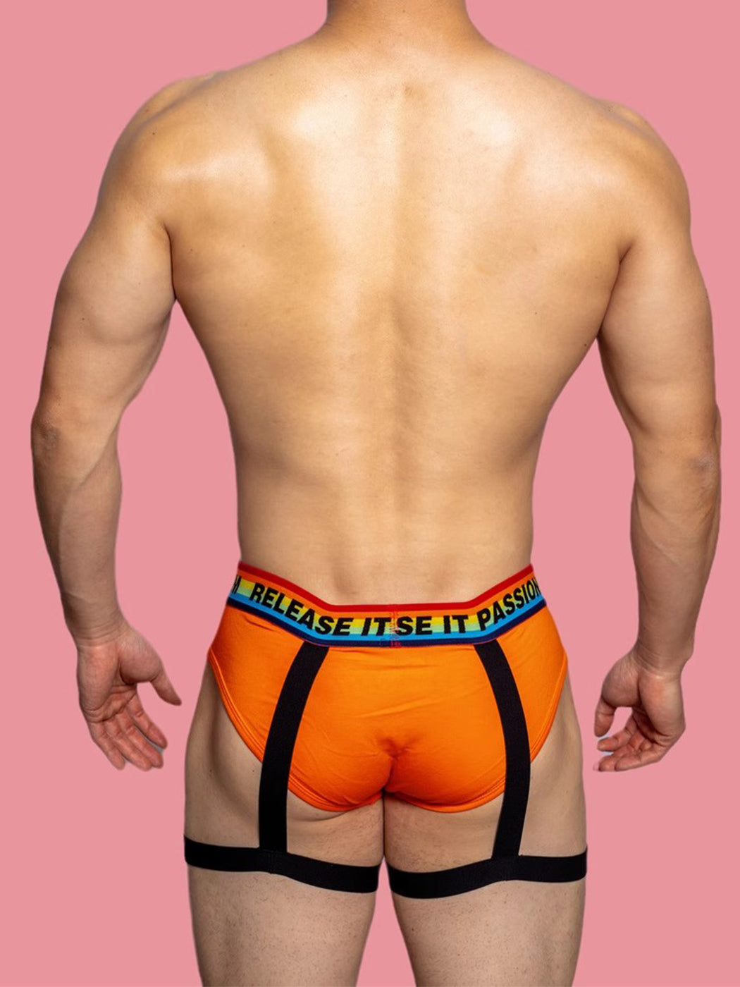 2 Pack Men's Rainbow Solid Color Suspender Briefs | dmunderwear detail image 19