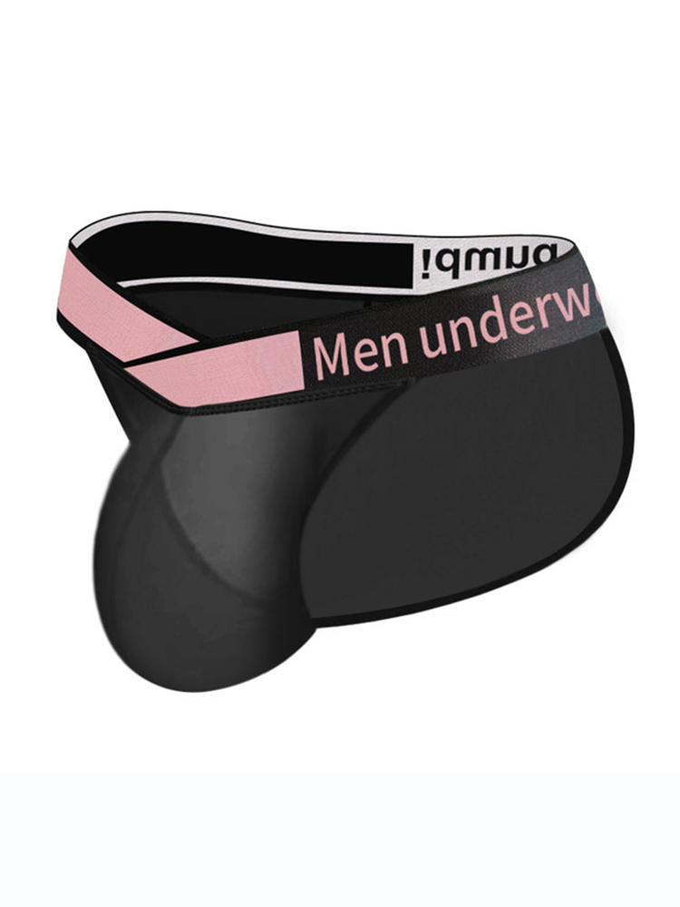2 Pack Men's Sexy Bikini with See-through Pouch | dmunderwear