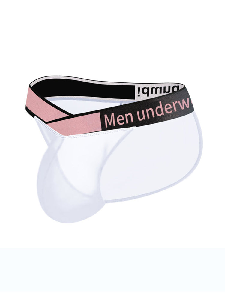 2 Pack Men's Sexy Bikini with See-through Pouch | dmunderwear detail image 12