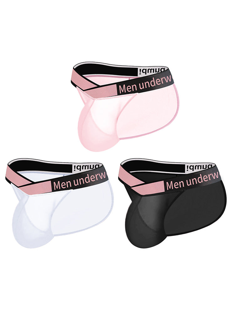 2 Pack Men's Sexy Bikini with See-through Pouch | dmunderwear detail image 15