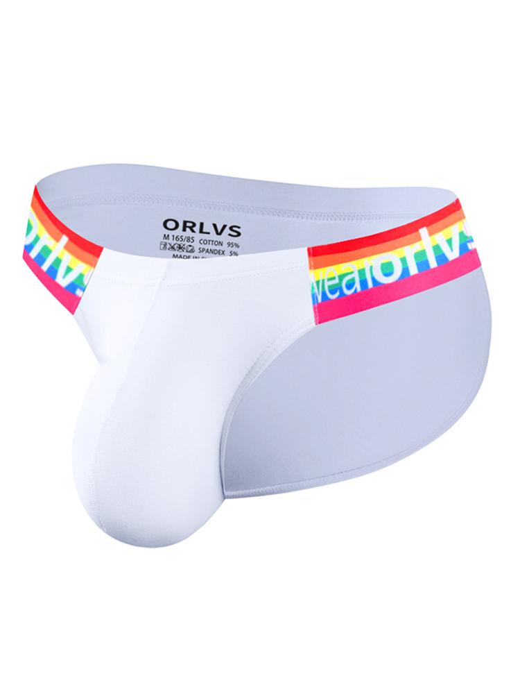2 Pack Men's Sexy Rainbow Bikinis | dmunderwear