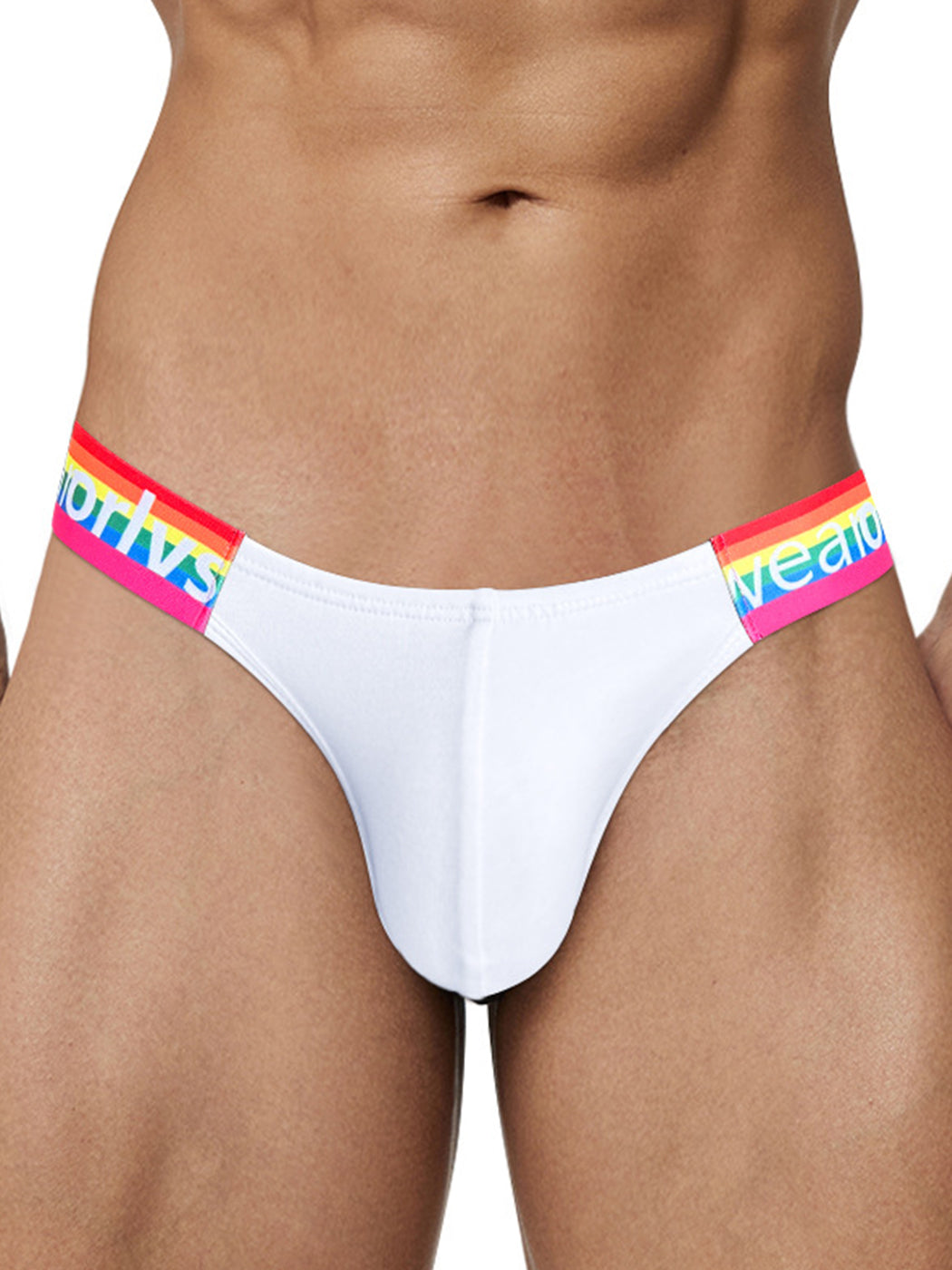 2 Pack Men's Sexy Rainbow Bikinis | dmunderwear detail image 3