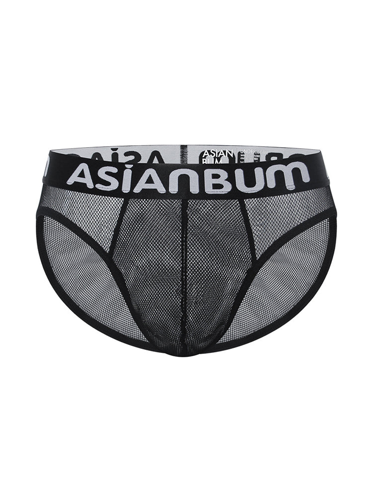 2 Pack Men's Breathable Large Mesh Semi-Transparent Sexy Low-Rise Briefs | dmunderwear detail image 13