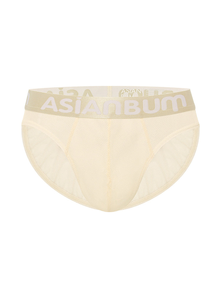 2 Pack Men's Breathable Large Mesh Semi-Transparent Sexy Low-Rise Briefs | dmunderwear detail image 15