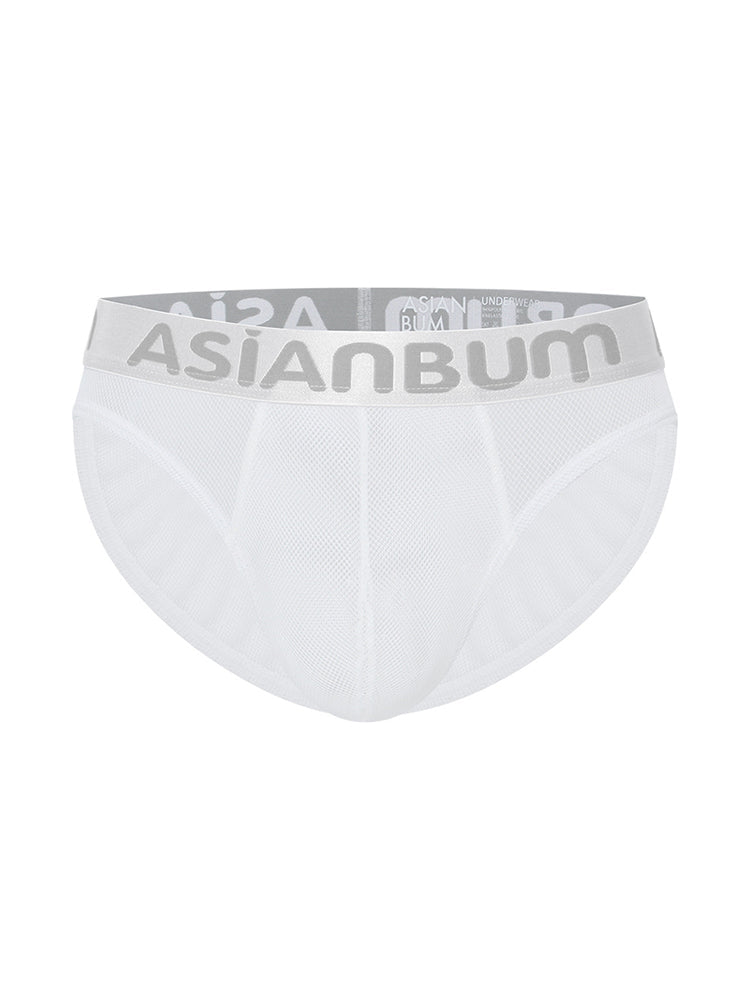 2 Pack Men's Breathable Large Mesh Semi-Transparent Sexy Low-Rise Briefs | dmunderwear detail image 16