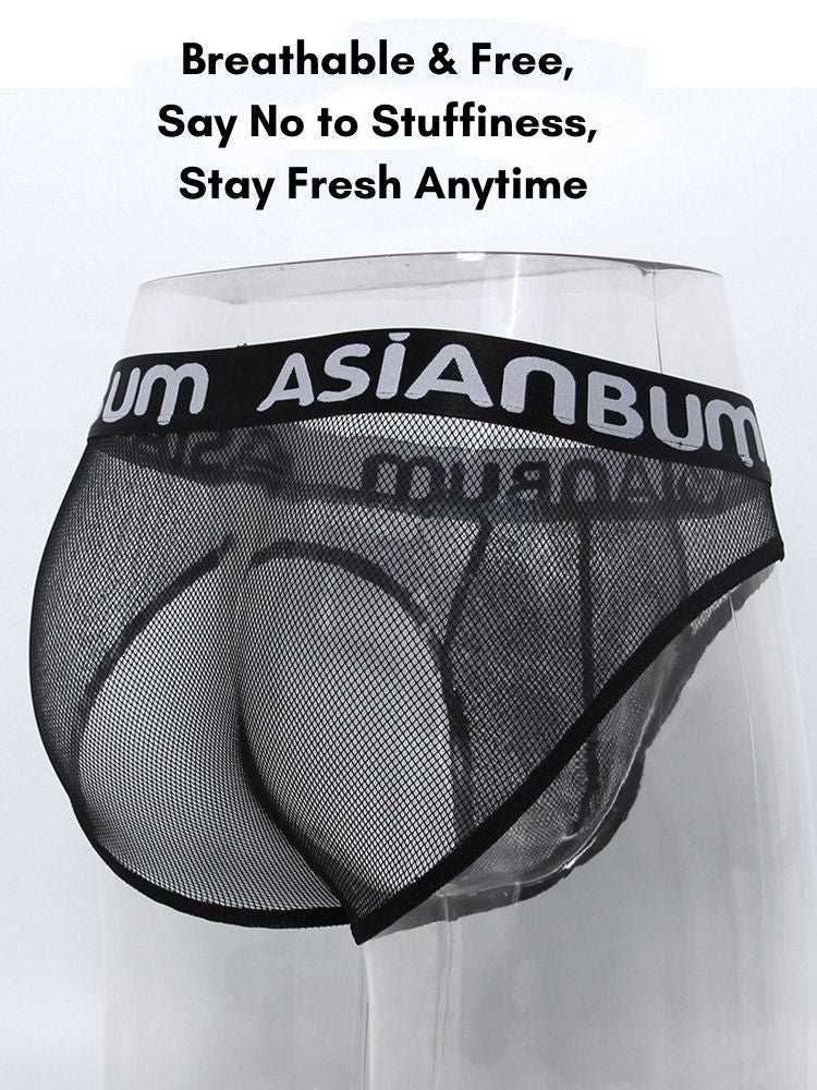 2 Pack Men's Breathable Large Mesh Semi-Transparent Sexy Low-Rise Briefs | dmunderwear detail image 5