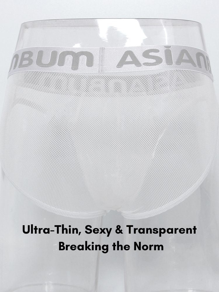 2 Pack Men's Breathable Large Mesh Semi-Transparent Sexy Low-Rise Briefs | dmunderwear detail image 6
