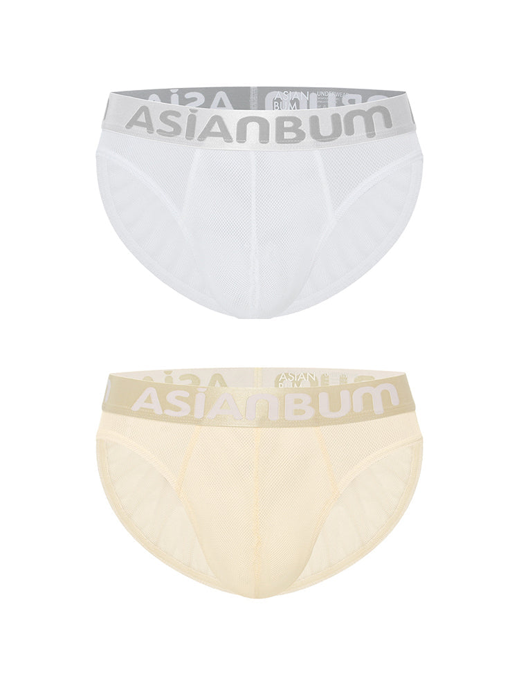 2 Pack Men's Breathable Large Mesh Semi-Transparent Sexy Low-Rise Briefs | dmunderwear detail image 8