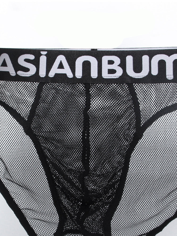 2 Pack Men's Breathable Large Mesh Semi-Transparent Sexy Low-Rise Briefs | dmunderwear detail image 9