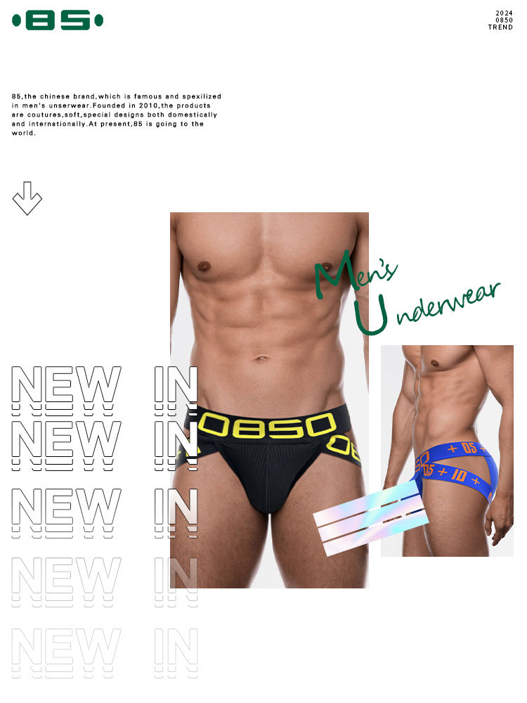 2 Pack Men's Breathable Personalized Low-Rise High-Elastic Briefs | dmunderwear detail image 9