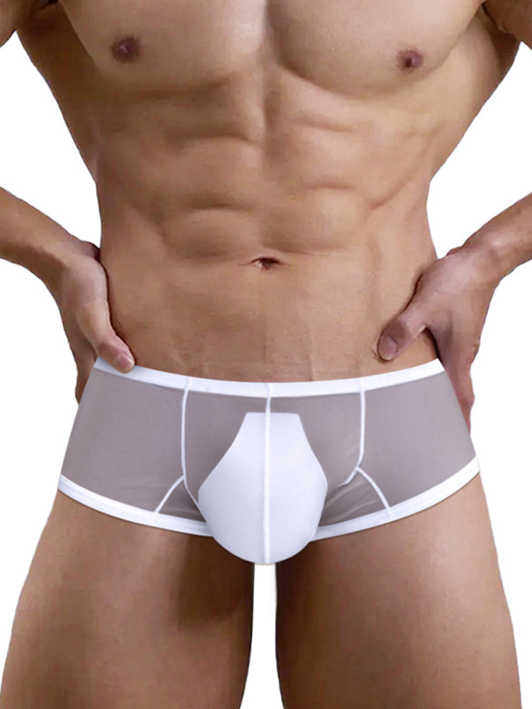 2 Pack Men's Breathable Sheer Elegance Quick-Dry Ultra-Soft Trunks | dmunderwear detail image 12