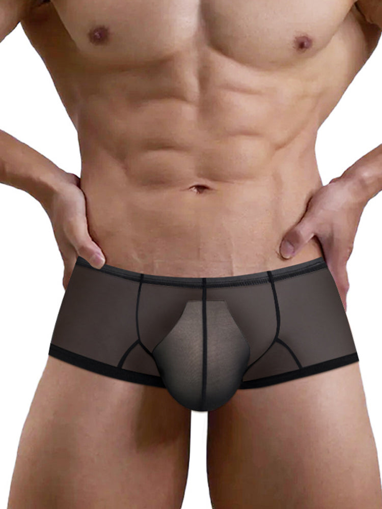 2 Pack Men's Breathable Sheer Elegance Quick-Dry Ultra-Soft Trunks | dmunderwear detail image 16