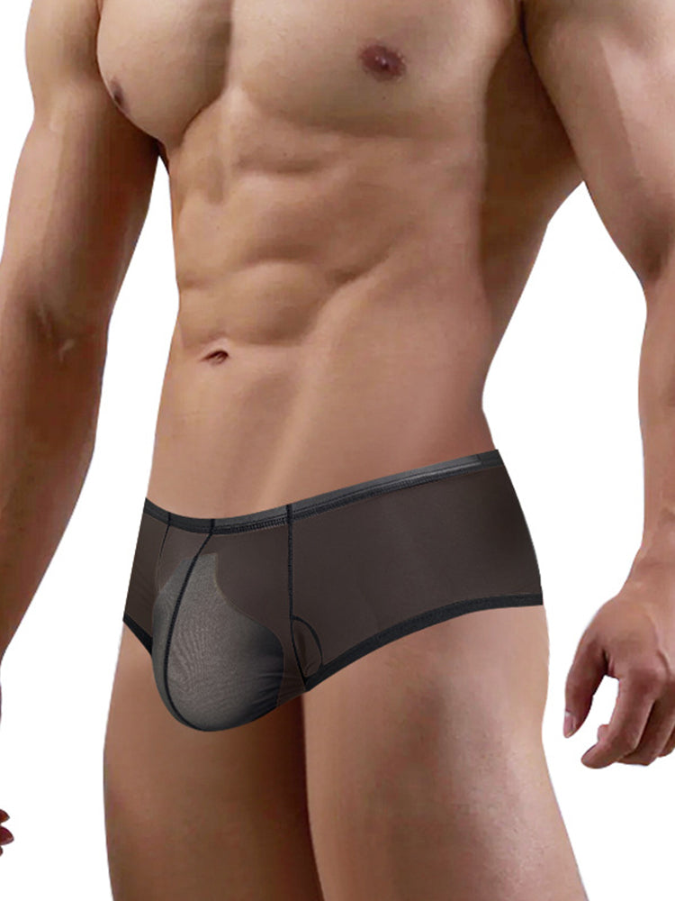 2 Pack Men's Breathable Sheer Elegance Quick-Dry Ultra-Soft Trunks | dmunderwear detail image 17