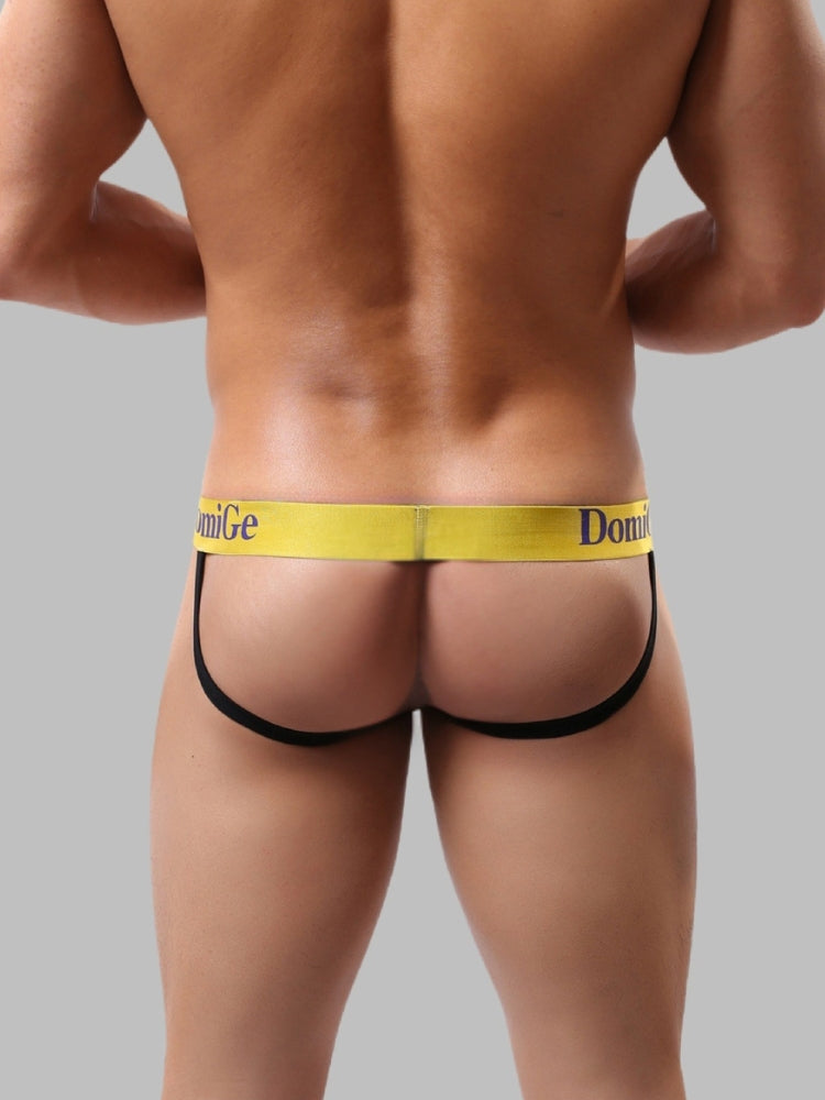 2 Pack Men's Fun Print Breathable Low-Rise Jockstrap | dmunderwear detail image 11