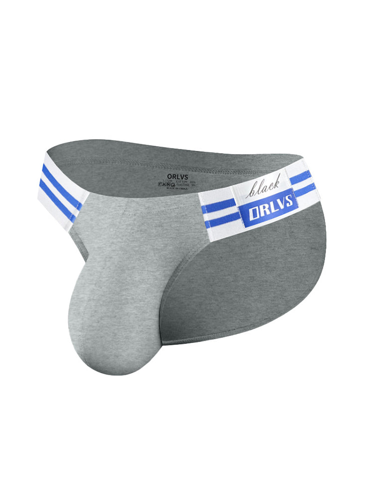 2-pack Men's High-cut Cotton Navy Striped Stretch Briefs | dmunderwear detail image 19