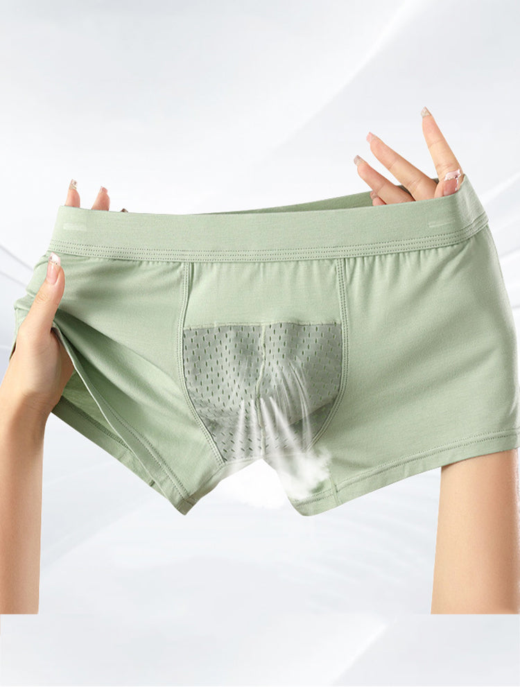 2 Pack Men's Ice Silk Antibacterial Mid-Rise Day-Long Comfort Soft Trunks | dmunderwear detail image 3
