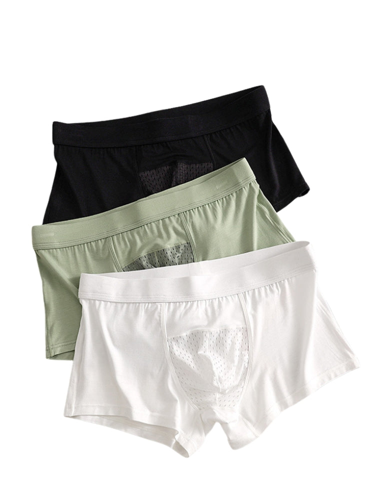 2 Pack Men's Ice Silk Antibacterial Mid-Rise Day-Long Comfort Soft Trunks | dmunderwear detail image 9