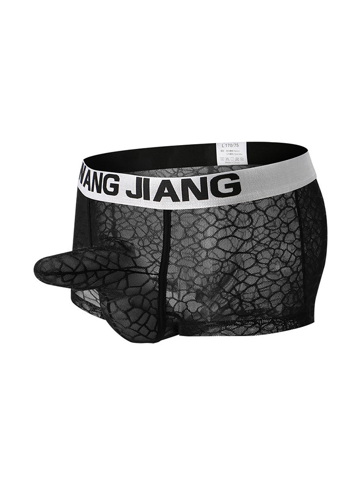 2 Pack Men's Ice Silk Lace Solid Sexy Trunks | dmunderwear detail image 14