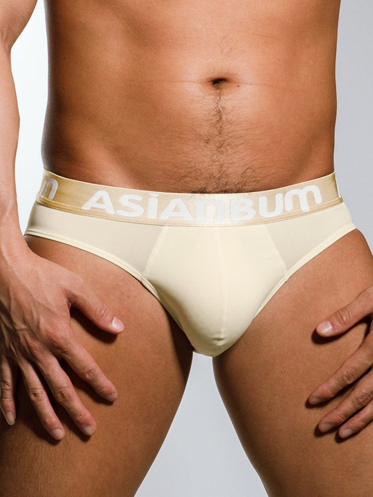 2 Pack Men's Ice Silk Mesh Breathable Simple & Sexy Design Comfort Briefs | dmunderwear detail image 12