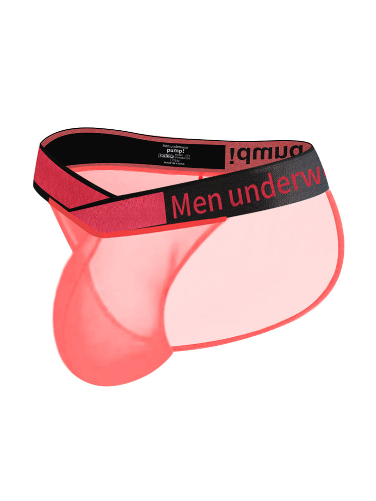 2 Pack Men's Large Pouch Semi-Transparent Sexy Bikini | dmunderwear