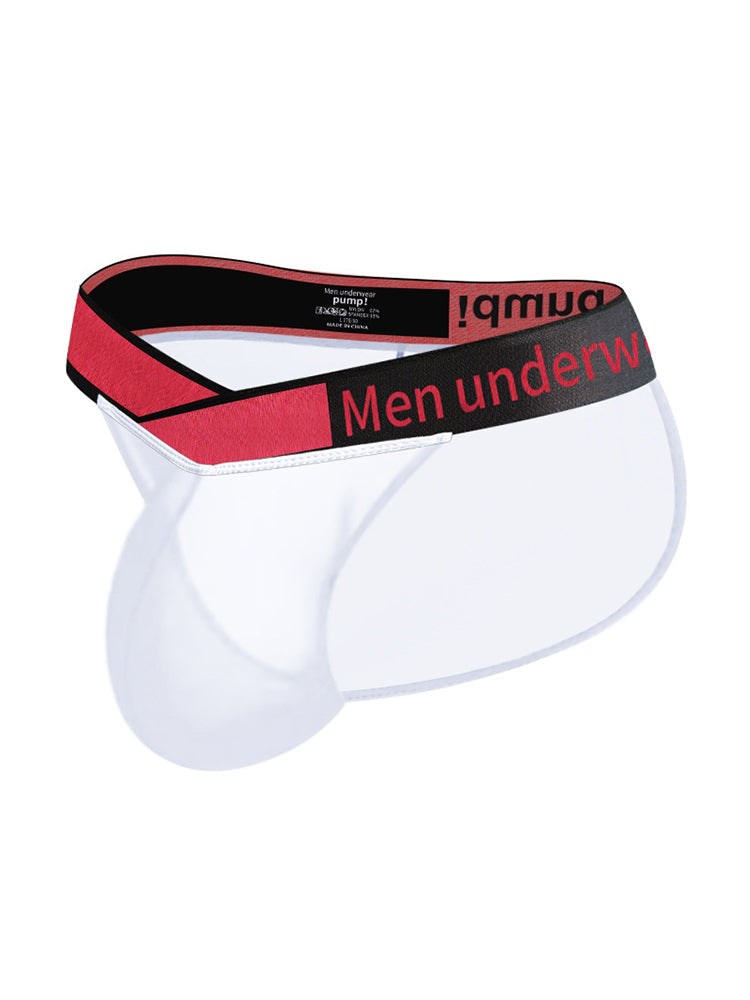 2 Pack Men's Large Pouch Semi-Transparent Sexy Bikini | dmunderwear detail image 10