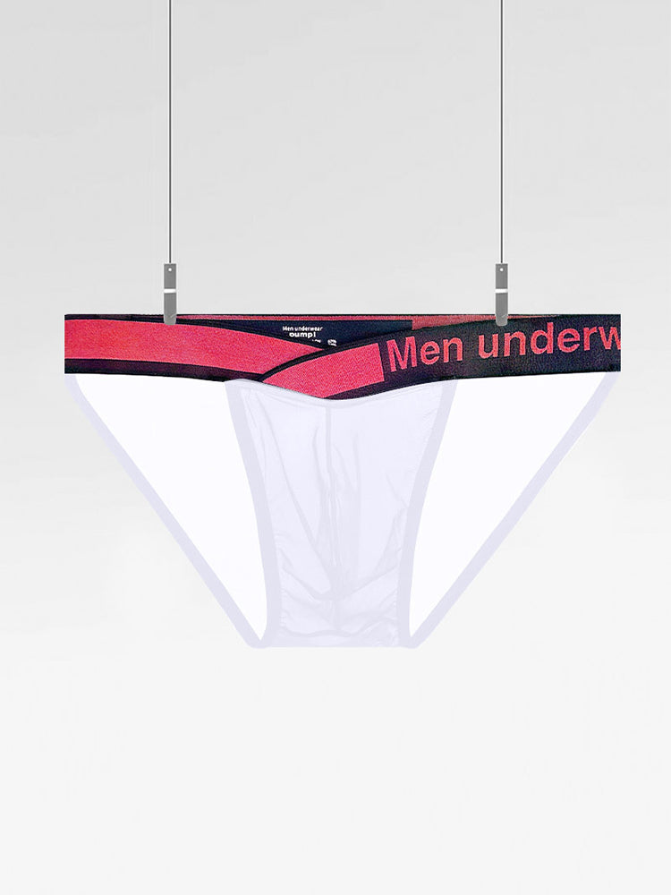 2 Pack Men's Large Pouch Semi-Transparent Sexy Bikini | dmunderwear detail image 11