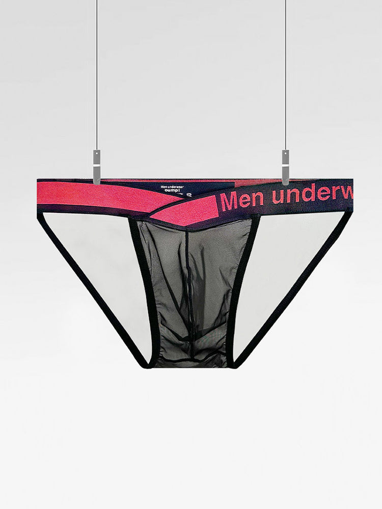 2 Pack Men's Large Pouch Semi-Transparent Sexy Bikini | dmunderwear detail image 12