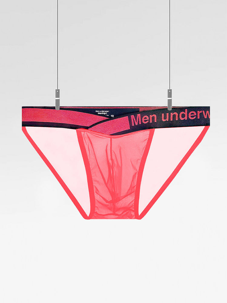 2 Pack Men's Large Pouch Semi-Transparent Sexy Bikini | dmunderwear detail image 14