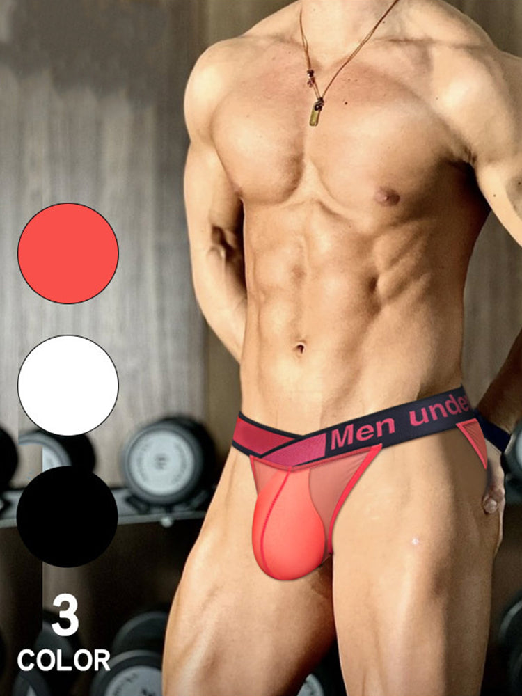2 Pack Men's Large Pouch Semi-Transparent Sexy Bikini | dmunderwear detail image 3