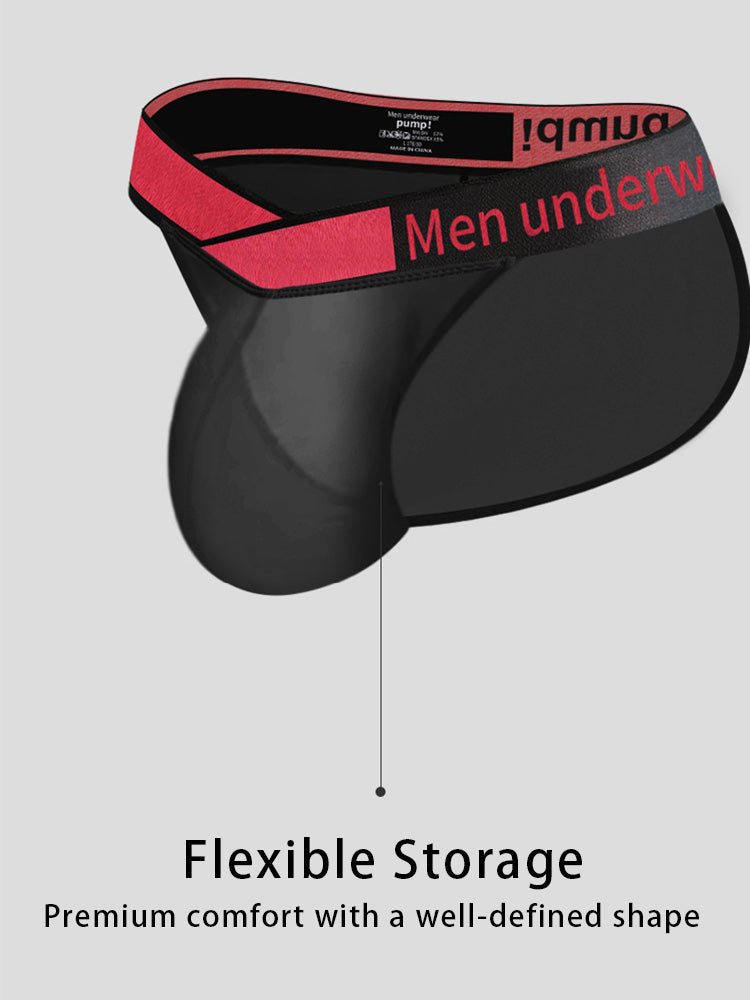 2 Pack Men's Large Pouch Semi-Transparent Sexy Bikini | dmunderwear detail image 4
