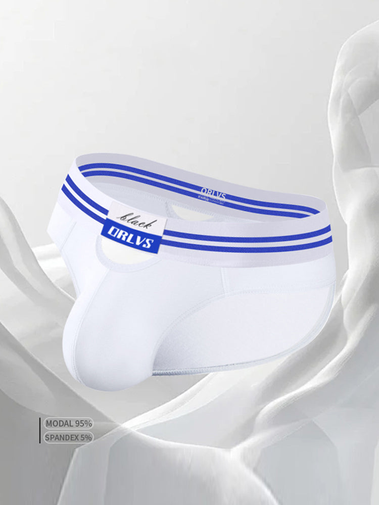 2 Pack Men's Low-Rise Breathable Modal briefs | dmunderwear detail image 18