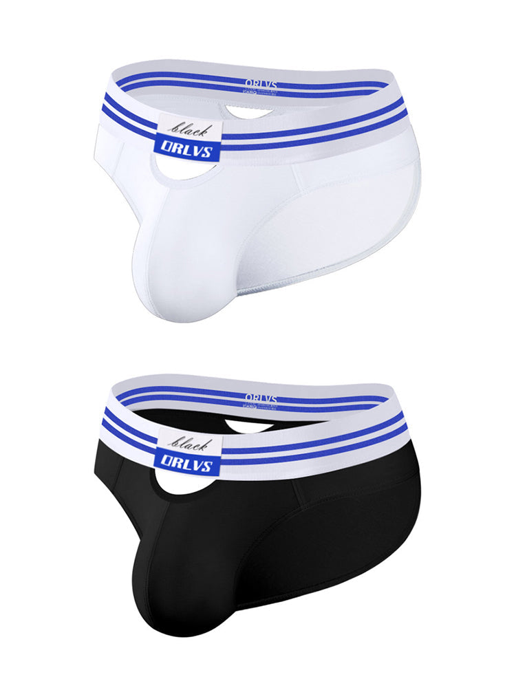 2 Pack Men's Low-Rise Breathable Modal briefs | dmunderwear detail image 2