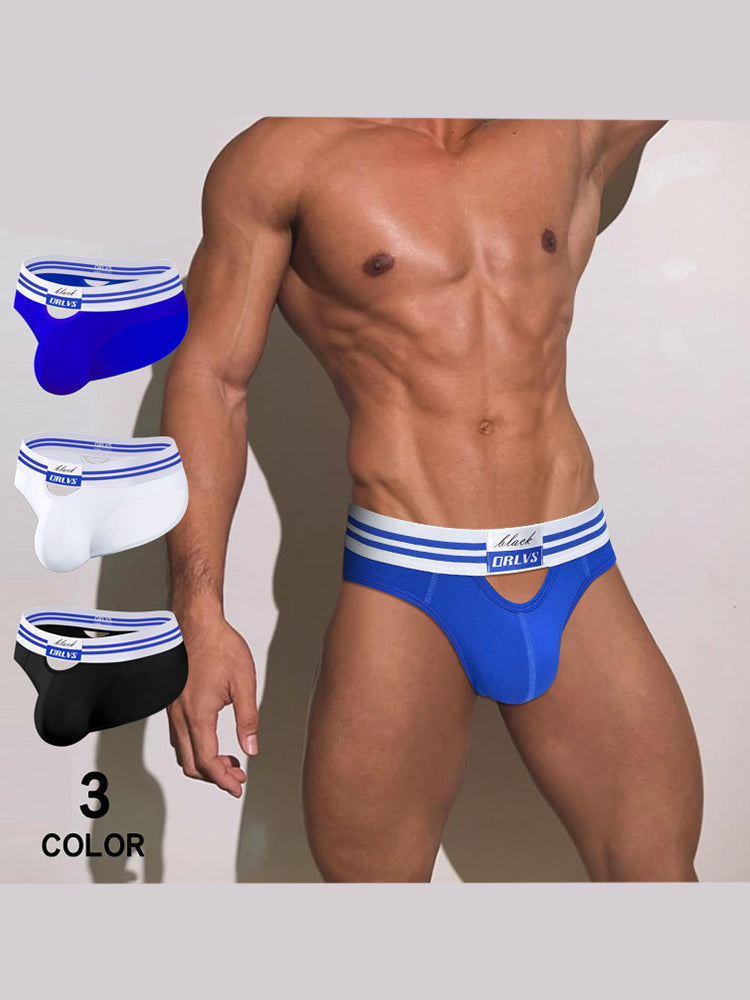 2 Pack Men's Low-Rise Breathable Modal briefs | dmunderwear detail image 3