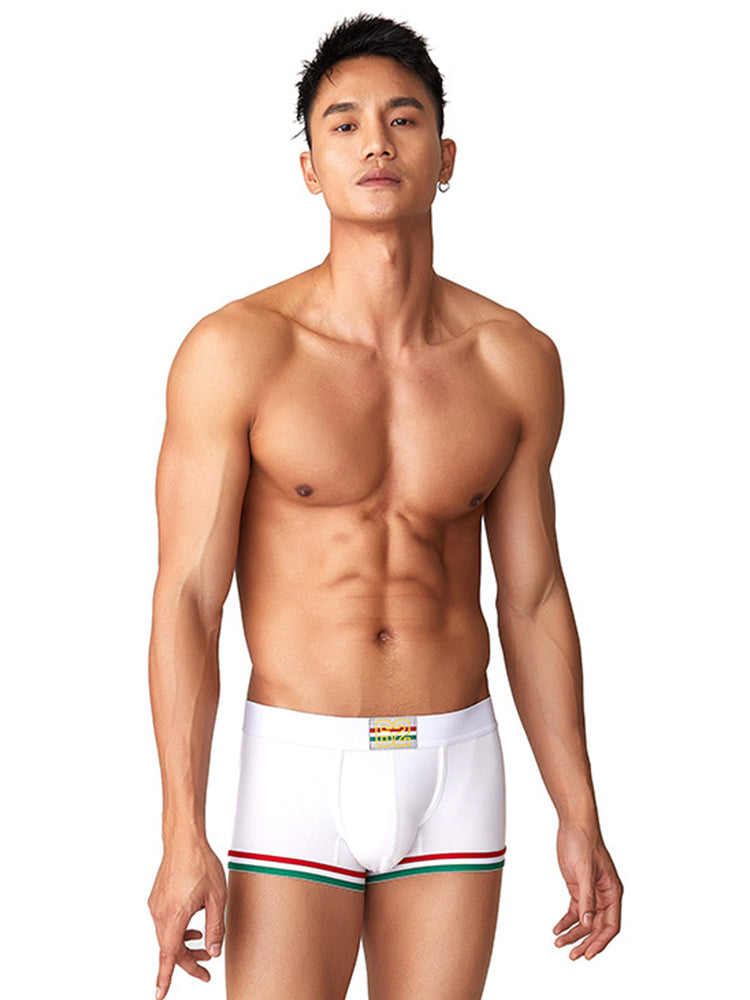 2 Pack Men's Low-Rise Cotton Boxer Briefs | dmunderwear detail image 14