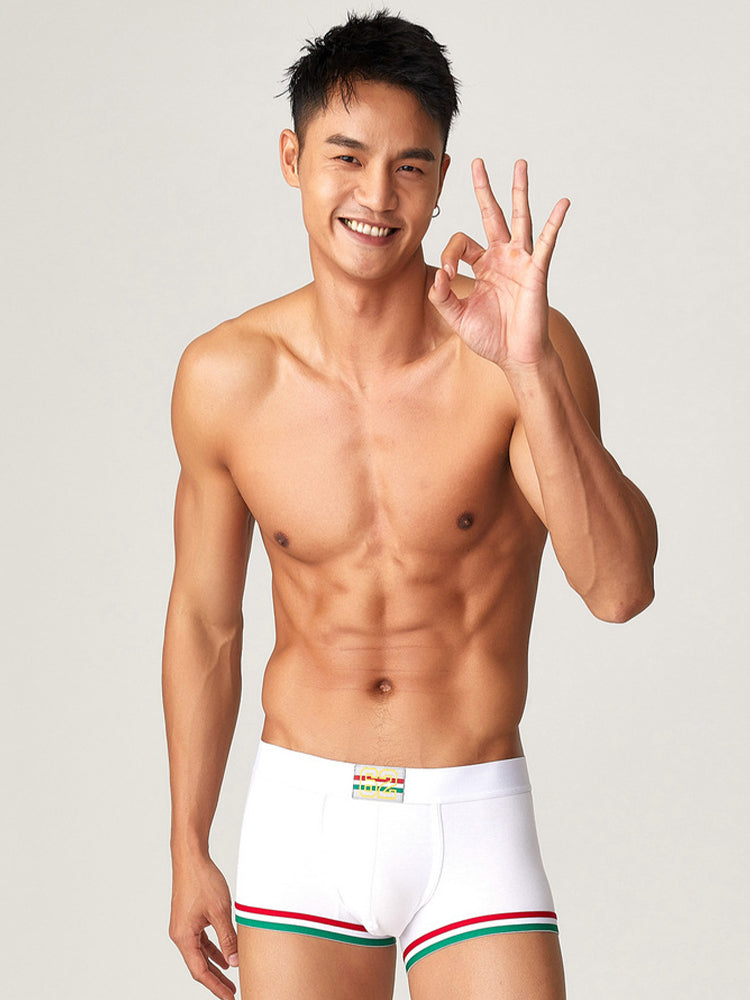 2 Pack Men's Low-Rise Cotton Boxer Briefs | dmunderwear detail image 15