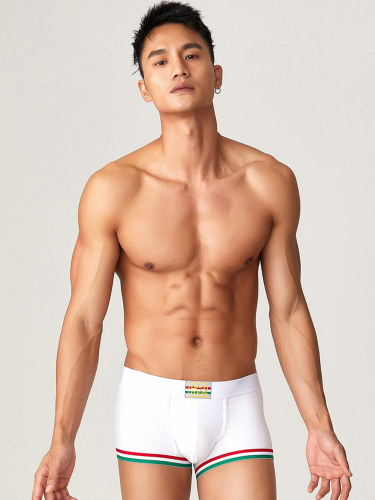 2 Pack Men's Low-Rise Cotton Boxer Briefs | dmunderwear detail image 16