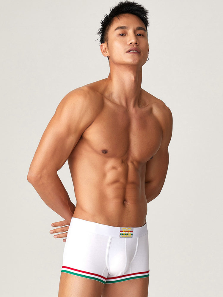 2 Pack Men's Low-Rise Cotton Boxer Briefs | dmunderwear detail image 18