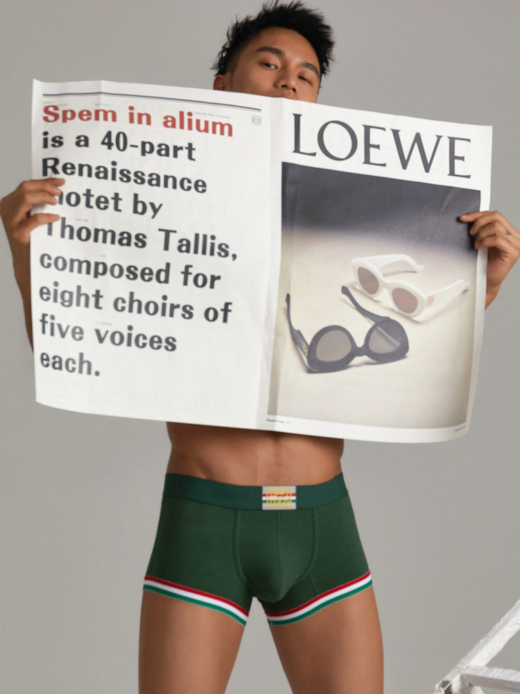 2 Pack Men's Low-Rise Cotton Boxer Briefs | dmunderwear detail image 3