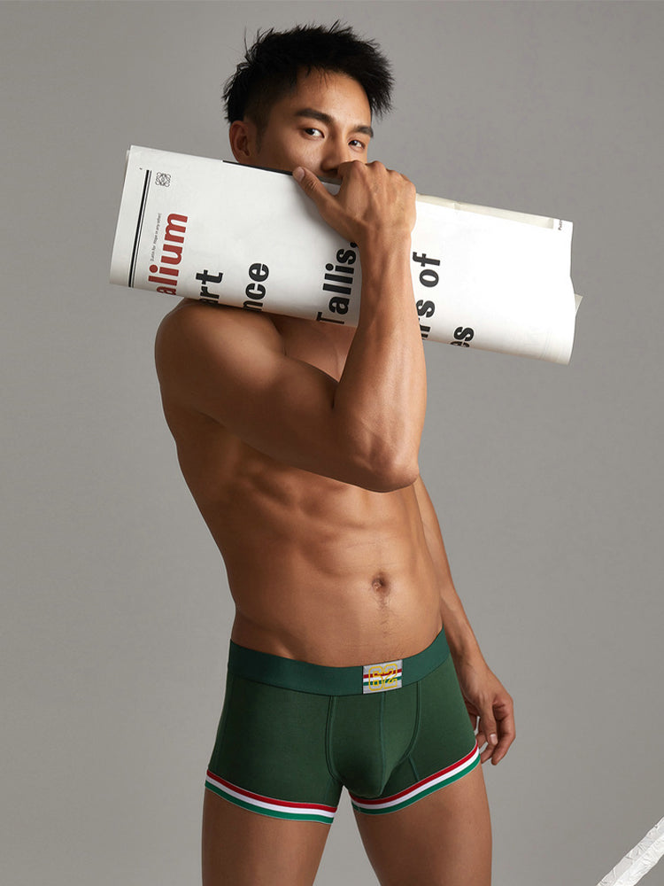 2 Pack Men's Low-Rise Cotton Boxer Briefs | dmunderwear detail image 4