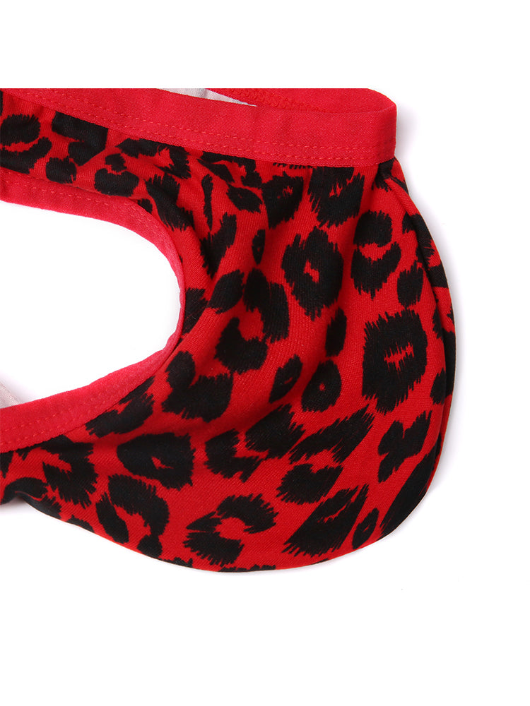 2 Pack Men's Low-Rise Lace-Patched Leopard Print sheer Stretch U-Pouch Bikini | dmunderwear detail image 17
