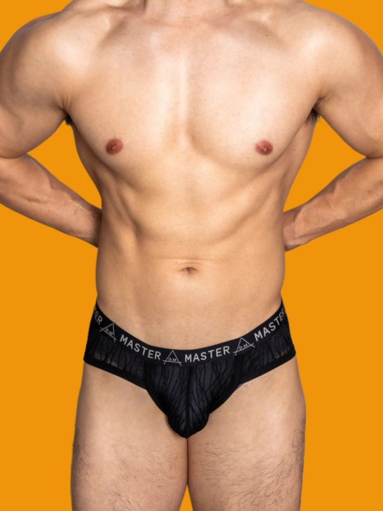 2 Pack Men's Low-Rise Sexy Lace U-Pouch Briefs | dmunderwear detail image 15