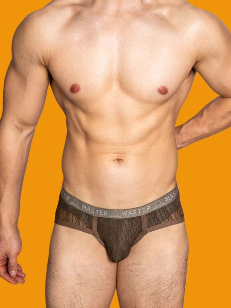2 Pack Men's Low-Rise Sexy Lace U-Pouch Briefs | dmunderwear detail image 3