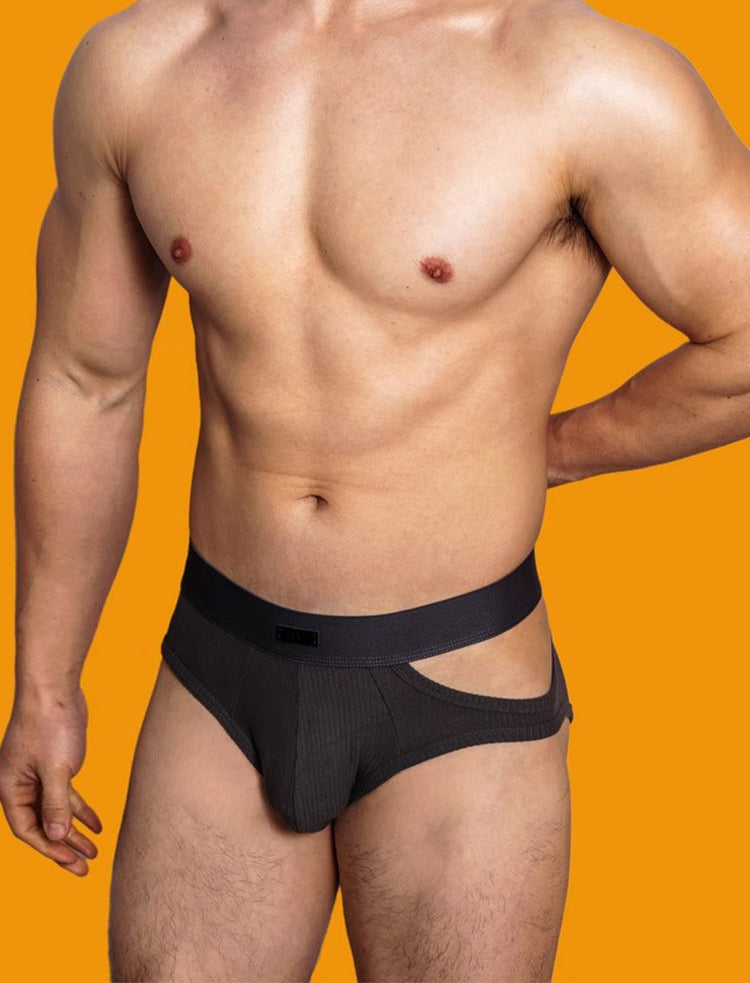 2 Pack Men's Low-Rise Sexy Side-Opening Briefs | dmunderwear detail image 10