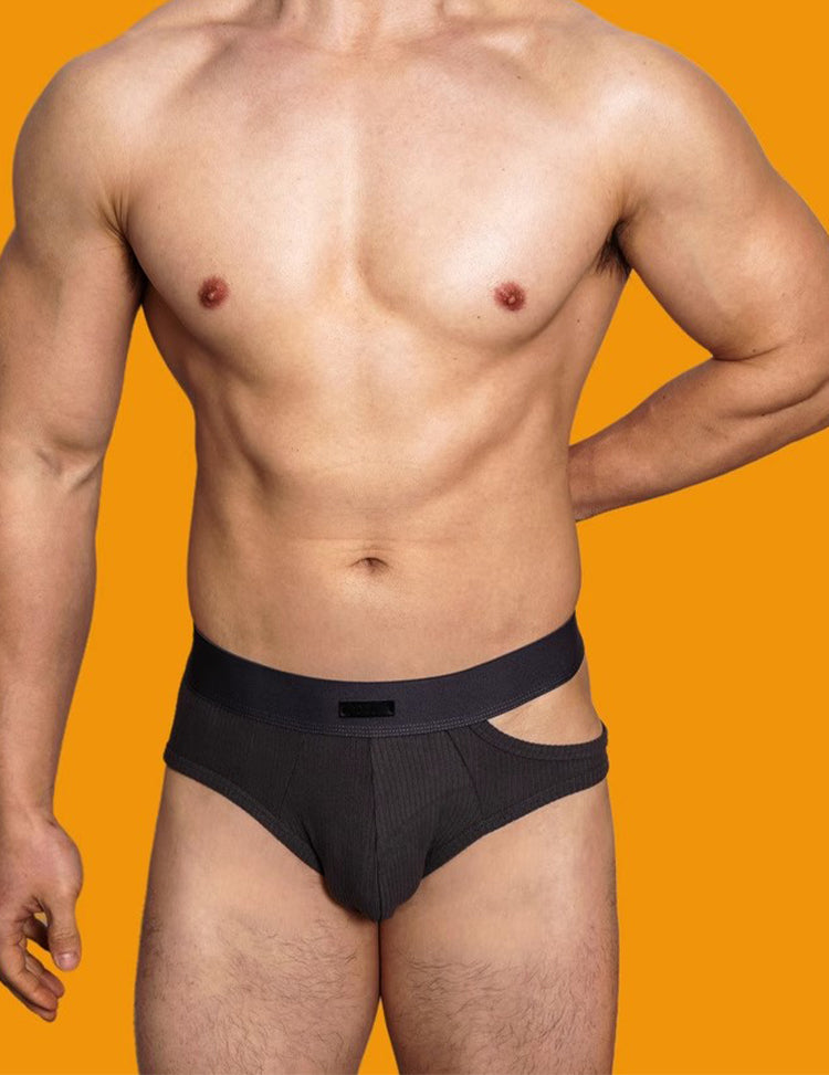 2 Pack Men's Low-Rise Sexy Side-Opening Briefs | dmunderwear detail image 3