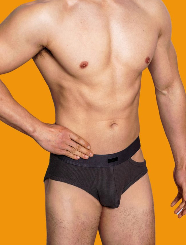 2 Pack Men's Low-Rise Sexy Side-Opening Briefs | dmunderwear detail image 5
