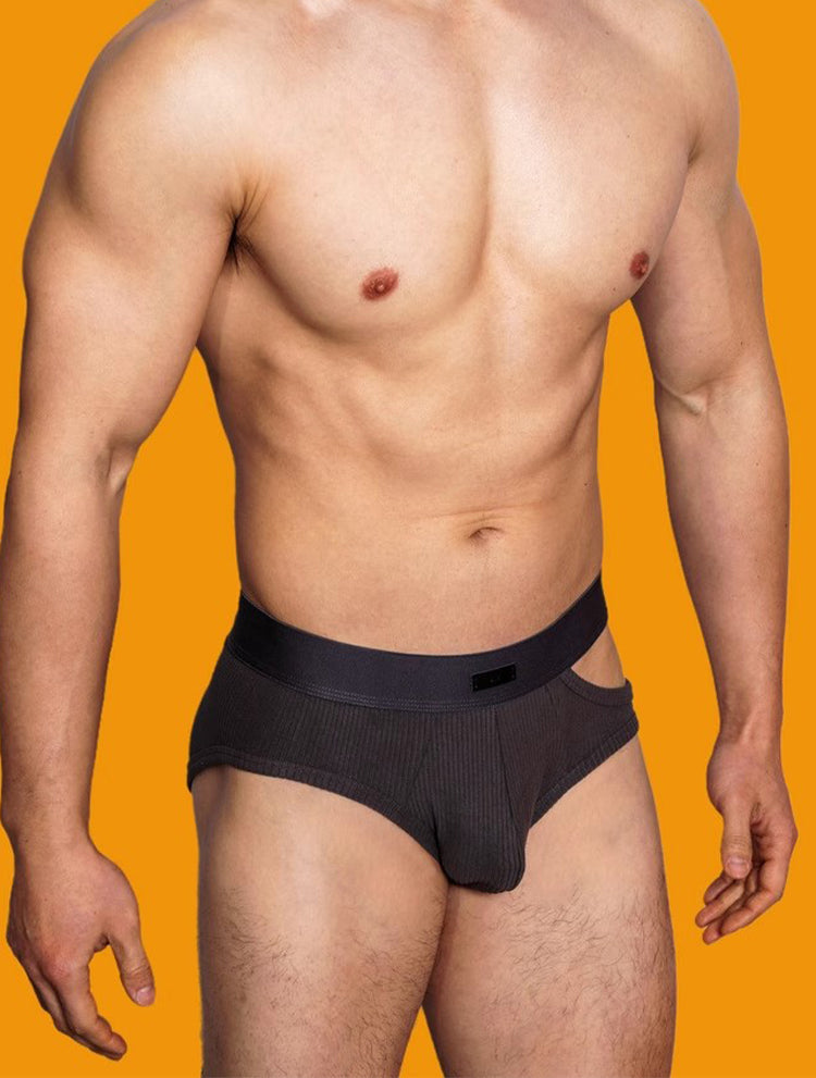 2 Pack Men's Low-Rise Sexy Side-Opening Briefs | dmunderwear detail image 8