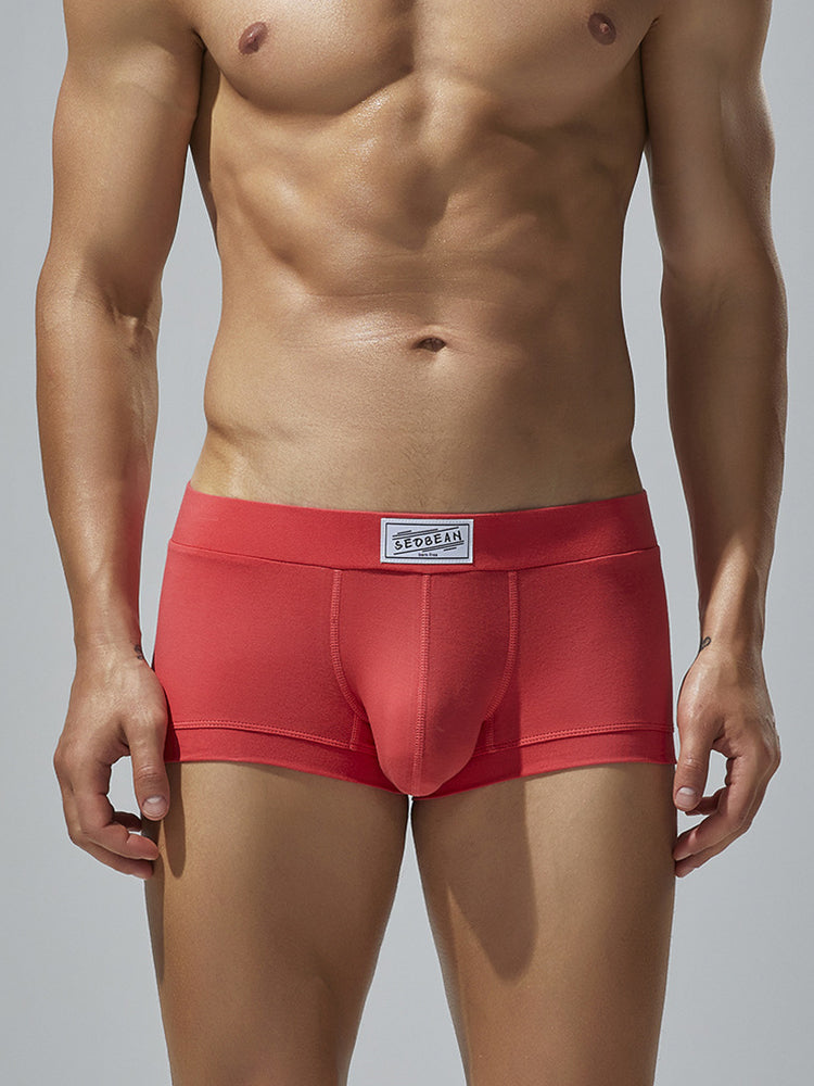 2 Pack Men's Low-Rise Solid Breathable Cotton Trunks | dmunderwear detail image 20