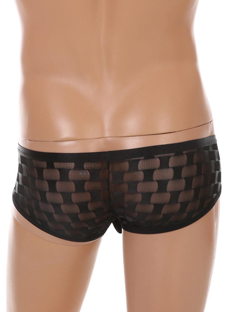 2 Pack Men's Mesh Breathable Large U-Pouch Quick-Dry Low-Rise Sexy Trunks | dmunderwear detail image 12